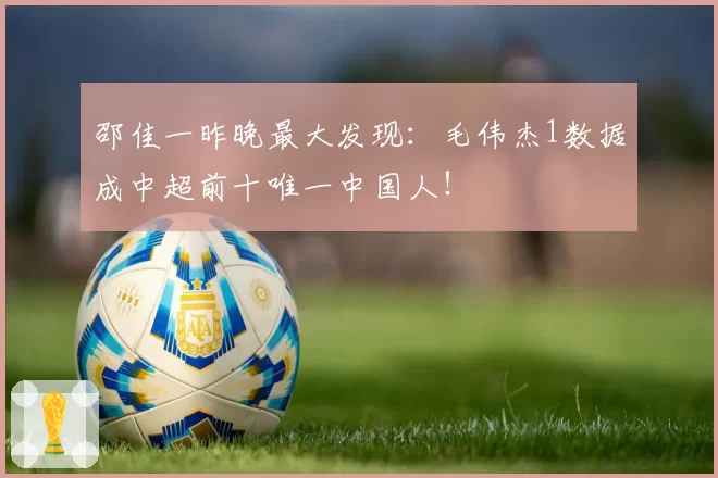 邵佳一昨晚最大发现：毛伟杰1数据成中超前十唯一中国人！