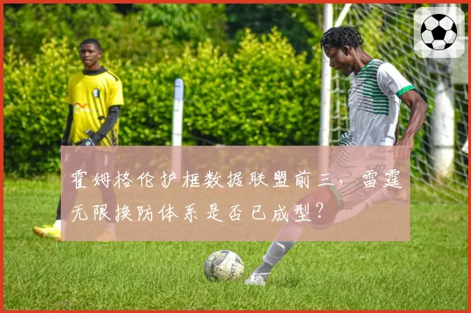 霍姆格伦护框数据联盟前三,雷霆无限换防体系是否已成型?