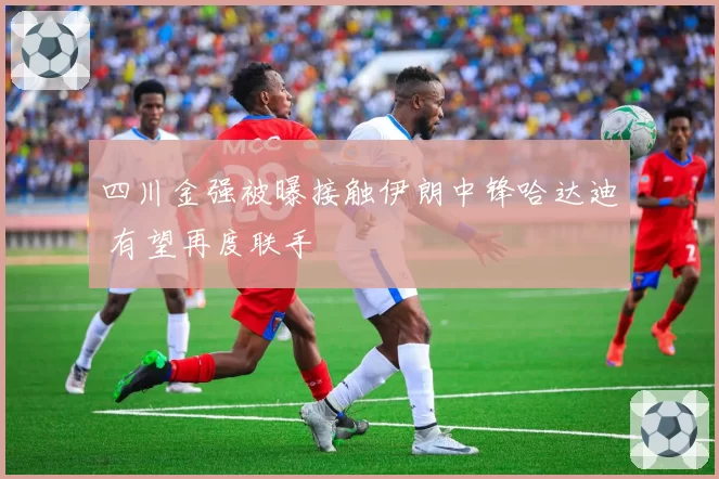 四川金强被曝接触伊朗中锋哈达迪 有望再度联手